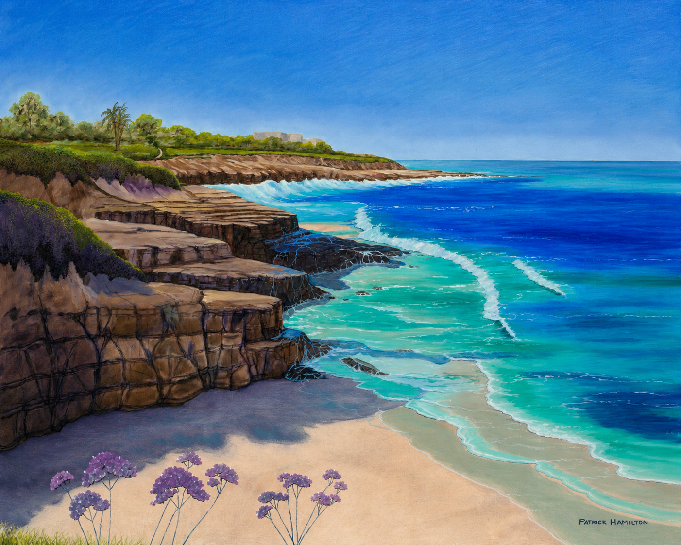 The Patient Coast