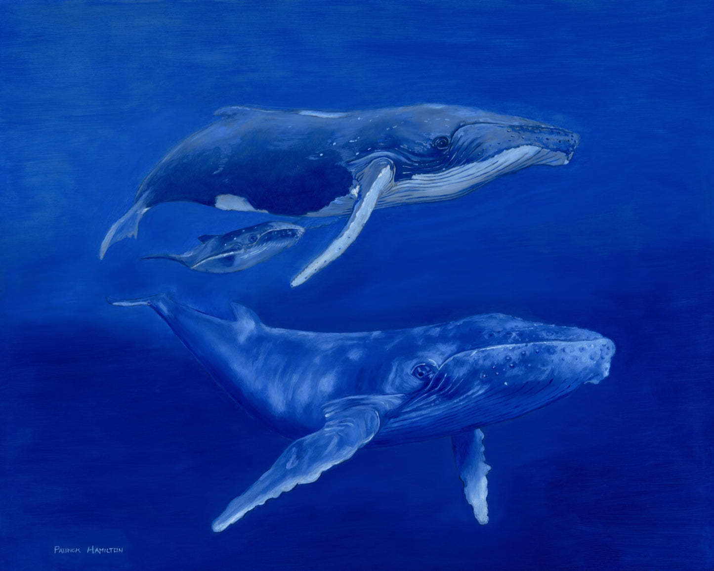 Gentle Giants “Giclée”
