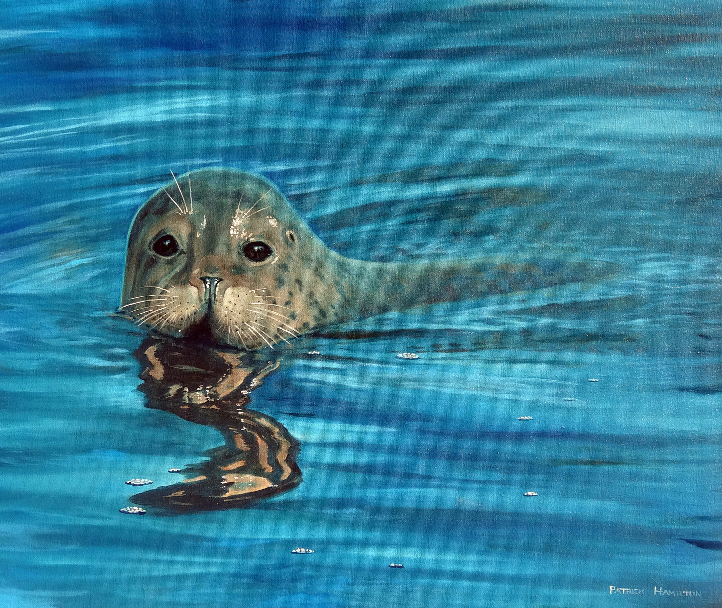 Seal of Approval