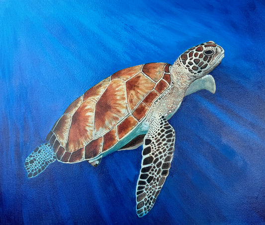 Grace Beneath the Blue
“Giclée”