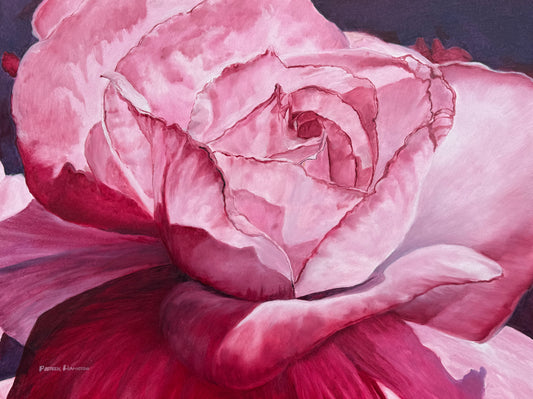 Crimson Rose Giclée – Intimate Close-Up Floral Fine Art in Rich Pink Tones