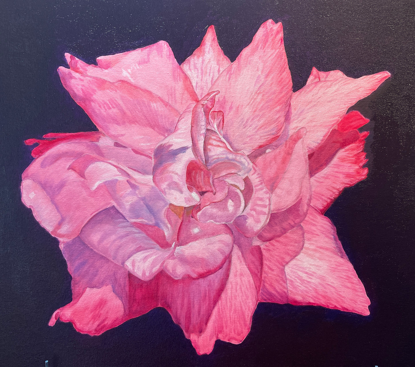 Permanent Rose Giclée Artwork – Luminous Pink Floral