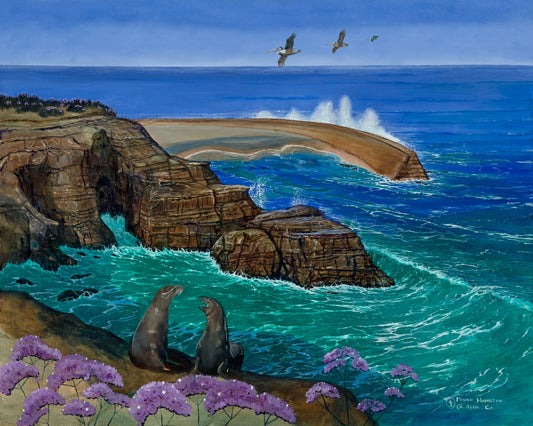 Children’s Pool Wave Giclée – Ocean Wall Art, La Jolla Coastal Decor