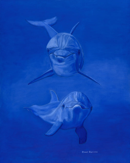 Dolphin Giclée – Ocean Wildlife Art, Marine Life Decor