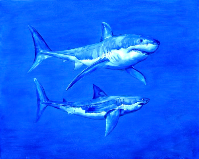 Great White Shark Giclée – Ocean Wall Art, Marine Life Decor