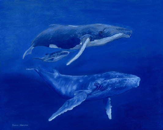 Gentle Giants “Giclée”