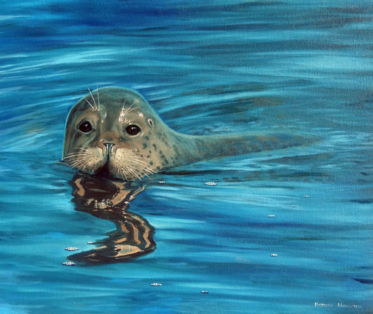 Seal of Approval