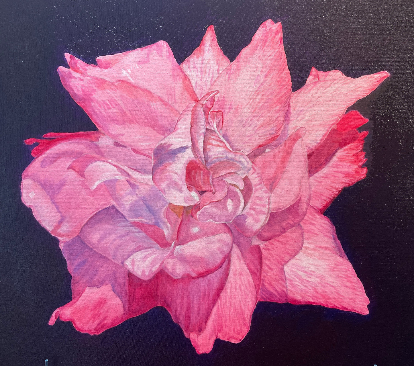 Permanent Rose