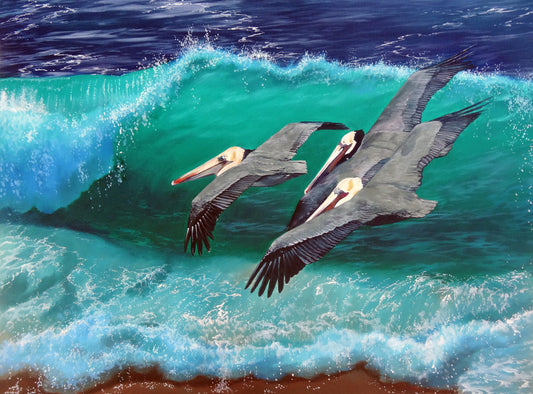Three Pelicans Giclee