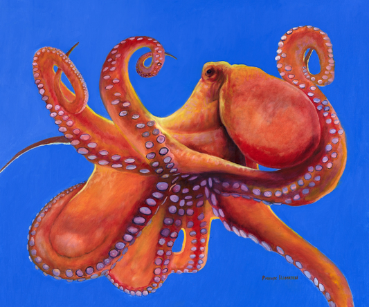 Ocean Acrobat
“Giclée”